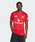 adidasiAfB_Xj́u}`FX^[EiCebh 25/26 z[V[c / n[tpc / AfB_X adidasiTVc/Jbg\[jvbbh