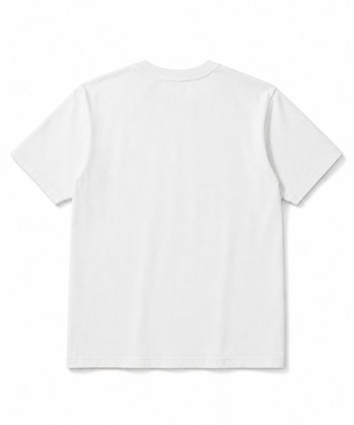 FreeZone(フリーゾーン)の「コットン100% ベーシッククルーネック半袖Tシャツ(Tシャツ/カットソー・レディース・ブラック/グレー/グリーン/ホワイト・F)」の12枚目の写真