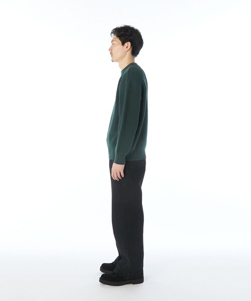 N.HOOLYWOOD COMPILE(N.ハリウッド コンパイル)の「CREWNECK KNIT(ニット/セーター・メンズ・ブラウン/グリーン/ブルー・40/38/36)」の17枚目の写真