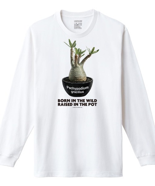 Moftique(モフティック)の「Moftique(モフティック) 長袖Tシャツ パキポディウム グラキリス コーデックス 塊根植物 多肉植物 プリント Tシャツ 長袖 ロンT ロングTシャツ トップス カットソー メンズ レディース ユニセックス 春 秋(Tシャツ/カットソー・メンズ・ホワイト/ブラック・M/L/XL)」の2枚目の写真