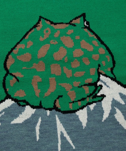 go slow caravan（ゴースローキャラバン）の「ツノガエルIMPACT富士山 