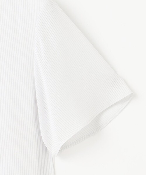 J.PRESS（ジェイプレス）の「シアーストライプ カットソー（Tシャツ/カットソー・レディース・ライトグレー系1/ホワイト系1/ホワイト系・MEDIUM/LARGE）」の17枚目の写真