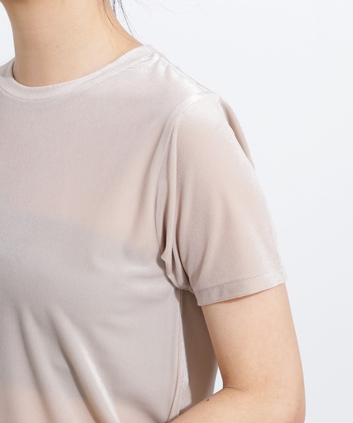 N.(N. Natural Beauty Basic)(エヌエヌナチュラルビューティーベーシック)の「ベロアTシャツ(Tシャツ/カットソー・レディース・ブルー系その他/ベージュ/ブラウン・MEDIUM)」の20枚目の写真