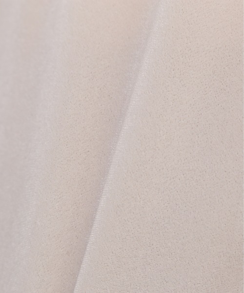 N.(N. Natural Beauty Basic)(エヌエヌナチュラルビューティーベーシック)の「ベロアTシャツ(Tシャツ/カットソー・レディース・ブルー系その他/ベージュ/ブラウン・MEDIUM)」の21枚目の写真