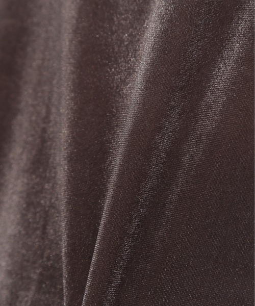 N.(N. Natural Beauty Basic)(エヌエヌナチュラルビューティーベーシック)の「ベロアTシャツ(Tシャツ/カットソー・レディース・ブルー系その他/ベージュ/ブラウン・MEDIUM)」の10枚目の写真