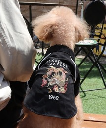 KRIFF MAYER（クリフメイヤー）の「【犬服･前開き･着脱簡単】DOGスーベニア刺繍JK（ペットウェア）」