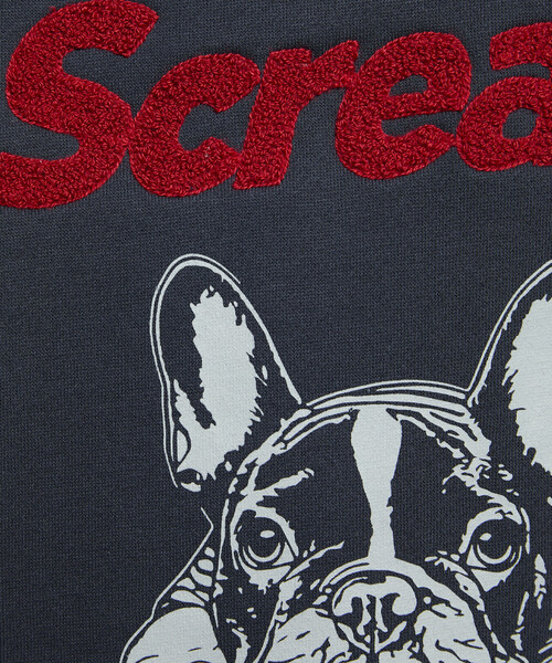 PUBLUX（パブリュクス）の「PUBLUX/パブリュクス 相良刺繍 フレンチブルドッグ 裏起毛 フーディー　限定展開（パーカー・レディース・チャコールグレー/ライトグレー/ネイビー・S/M/L）」の22枚目の写真