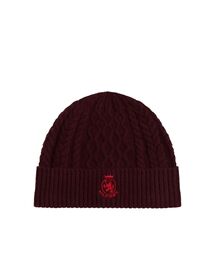 TOMMY HILFIGER（トミーヒルフィガー）の「クレストニットビーニー（ニットキャップ/ビーニー）」