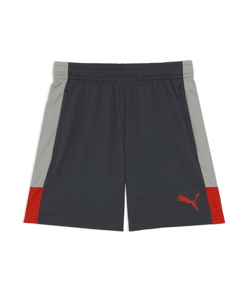 PUMA（プーマ）の「PUMA プーマ メンズ サッカー INDIVILIGA TR ショーツ（その他パンツ・メンズ・グレー系その他3/ブラック/ブラック系その他6・X-LARGE/SMALL/LARGE/MEDIUM/XX-LARGE）」の6枚目の写真