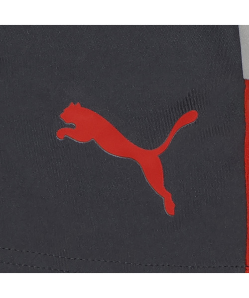 PUMA（プーマ）の「PUMA プーマ メンズ サッカー INDIVILIGA TR ショーツ（その他パンツ・メンズ・グレー系その他3/ブラック/ブラック系その他6・X-LARGE/SMALL/LARGE/MEDIUM/XX-LARGE）」の9枚目の写真