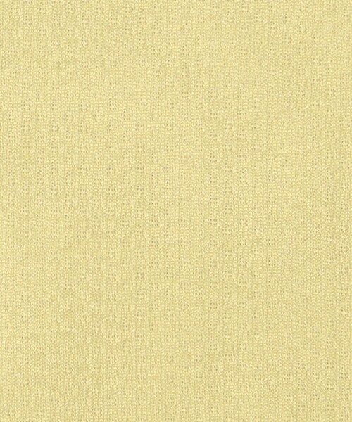 green label relaxing(グリーンレーベルリラクシング)の「UNI ラッシュセット / 水着 / キッズ 100cm-130cm(水着・キッズ・イエロー/ライトブルー・130cm/120cm/110cm/100cm)」の13枚目の写真