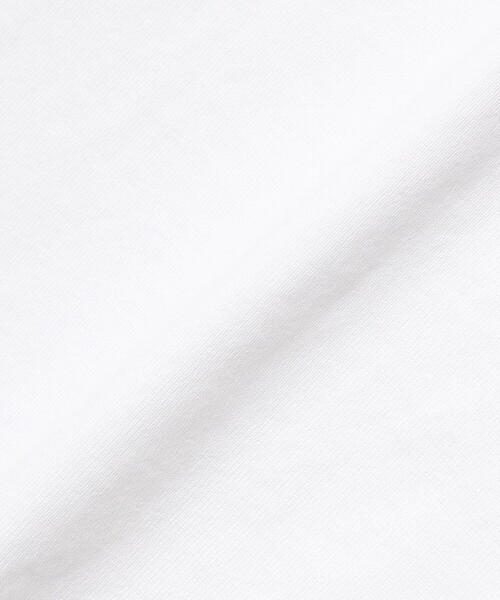 LACOSTE(ラコステ)の「【別注】LACOSTE / ロゴ Tシャツ(Tシャツ/カットソー・メンズ・ネイビー/サックスブルー/ブラック/ホワイト・5/4/3/2/1)」の22枚目の写真