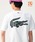 LACOSTE�i���R�X�e�j�́u�y�ʒ��zLACOSTE / ���S T�V���c�iT�V���c/�J�b�g�\�[�j�v�b�z���C�g