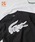 LACOSTE�i���R�X�e�j�́u�y�ʒ��zLACOSTE / ���S T�V���c�iT�V���c/�J�b�g�\�[�j�v�b�u���b�N