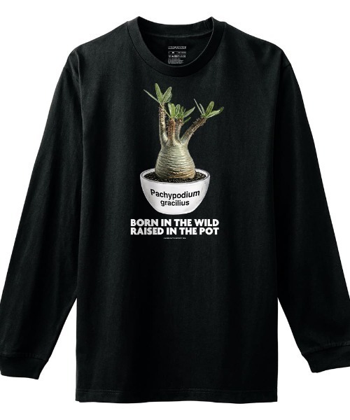 Moftique(モフティック)の「Moftique(モフティック) 長袖Tシャツ パキポディウム グラキリス コーデックス 塊根植物 多肉植物 プリント Tシャツ 長袖 ロンT ロングTシャツ トップス カットソー レディース ユニセックス 春 秋(Tシャツ/カットソー・レディース・ブラック/ホワイト・S/XS)」の1枚目の写真