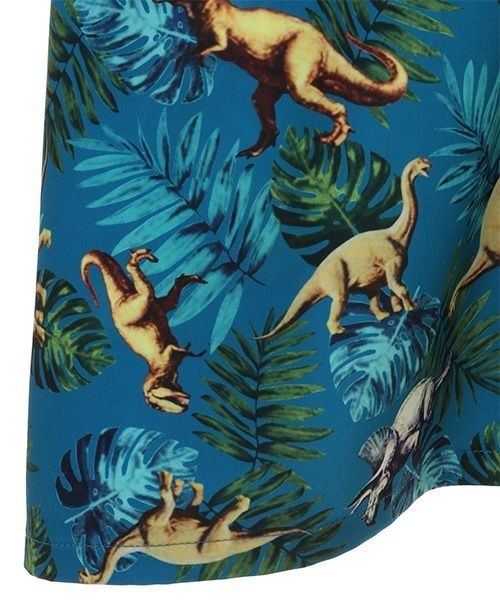 Candy Stripper（キャンディストリッパー）の「CANDY EXPLORATION シャツ（シャツ/ブラウス・レディース・ブラック/ブルー・2）」の8枚目の写真