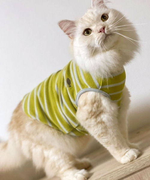 猫の暮らし(ネコノクラシ)の「猫の暮らし/ねこのくらし/ウォームベストキャット/猫用品(ペットウェア・レディース・ネイビー/ピンク/イエロー・S/M/L)」の2枚目の写真