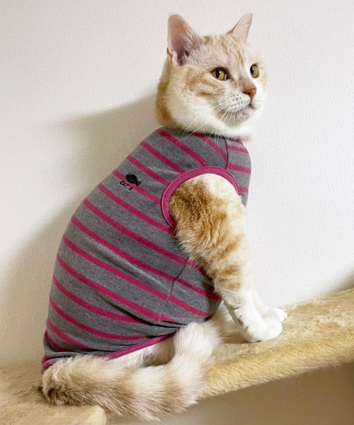 猫の暮らし(ネコノクラシ)の「猫の暮らし/ねこのくらし/ウォームベストキャット/猫用品(ペットウェア・レディース・ネイビー/ピンク/イエロー・S/M/L)」の9枚目の写真