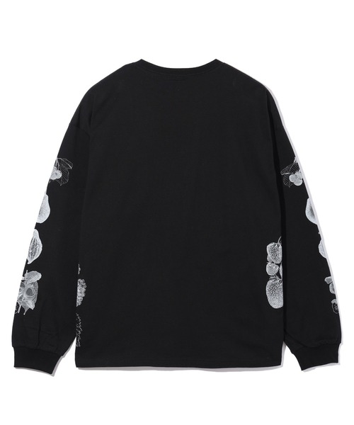セール】FRUITS PRINT WIDE L/S TEE（Tシャツ/カットソー