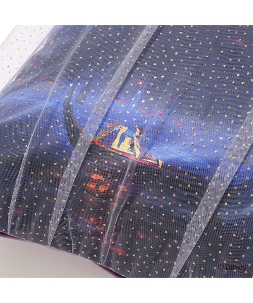 セール】ディズニー MAGIC of CHEMISTRY / 塔の上のラプンツェル