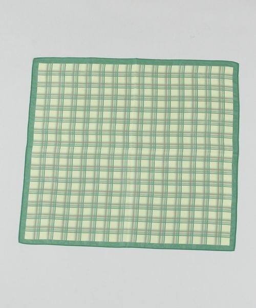 JEANASIS（ジーナシス）の「シアーガラスカーフ/329537（バンダナ/スカーフ・レディース・グリーン/グリーン系その他・FREE）」の7枚目の写真