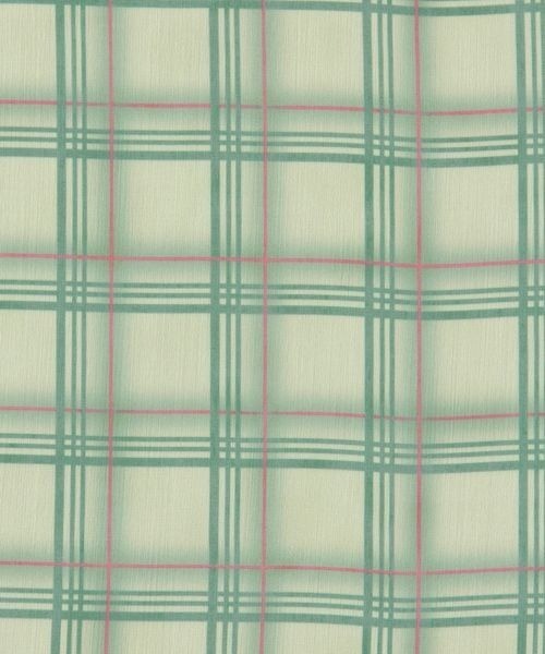 JEANASIS（ジーナシス）の「シアーガラスカーフ/329537（バンダナ/スカーフ・レディース・グリーン/グリーン系その他・FREE）」の12枚目の写真