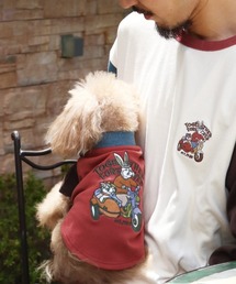 KRIFF MAYER(NtC[)́yXgb`EȒPzDOĜT(rbg)(ybgEFA)