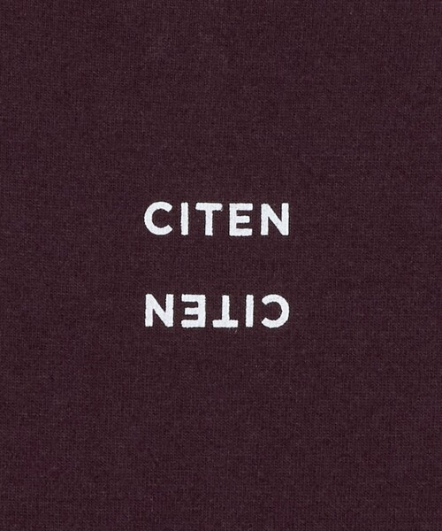 CITEN（シテン）の「＜CITEN＞CITENロゴカットワンピースハンソデ（ワンピース・レディース・ブラック/ダークブラウン・S/M）」の14枚目の写真