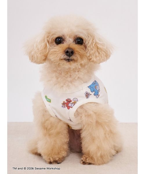 gelato pique(ジェラートピケ)の「【SESAME STREET】【CAT&DOG】カットソープルオーバー(リード/ハーネス/首輪・レディース・オフホワイト・S/M/L)」の3枚目の写真