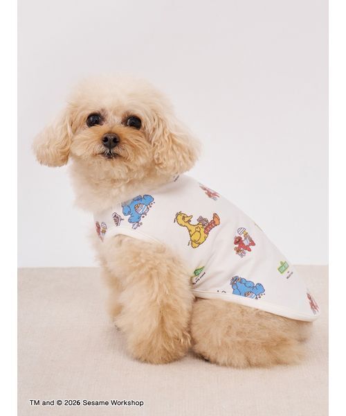 gelato pique(ジェラートピケ)の「【SESAME STREET】【CAT&DOG】カットソープルオーバー(リード/ハーネス/首輪・レディース・オフホワイト・S/M/L)」の4枚目の写真