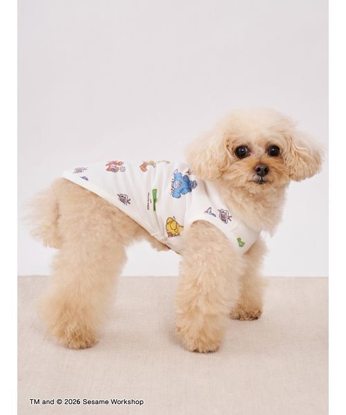 gelato pique(ジェラートピケ)の「【SESAME STREET】【CAT&DOG】カットソープルオーバー(リード/ハーネス/首輪・レディース・オフホワイト・S/M/L)」の5枚目の写真