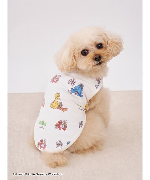 gelato pique(ジェラートピケ)の「【SESAME STREET】【CAT&DOG】カットソープルオーバー(リード/ハーネス/首輪・レディース・オフホワイト・S/M/L)」の6枚目の写真