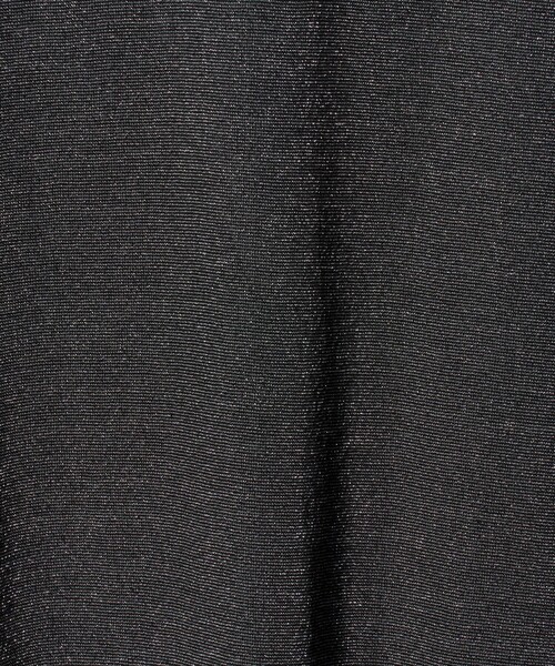 Steven Alan(スティーブンアラン)の「<Steven Alan>ラメジャージー シェルタック プルオーバー(Tシャツ/カットソー・レディース・ベージュ/ネイビー/グレー系・FREE)」の17枚目の写真