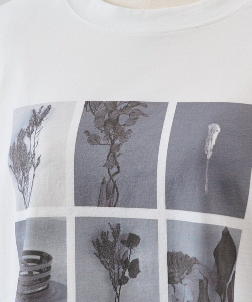 Jena espace merveilleux(ジェナ エスパスメルヴェイユ)の「マルチプリントT(Tシャツ/カットソー・レディース・ベージュ/オフホワイト/ライトグレー・FREE)」の22枚目の写真
