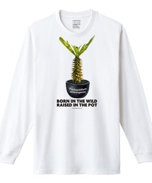 Moftique(モフティック) 長袖Tシャツ パキポディウム アンボンゲンセ コーデックス 塊根植物 多肉植物 プリント Tシャツ 長袖 ロンT ロングTシャツ トップス カットソー メンズ レディース ユニセックス 春 秋