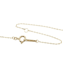 agete（アガット）の「K10ネックレス（14144116032