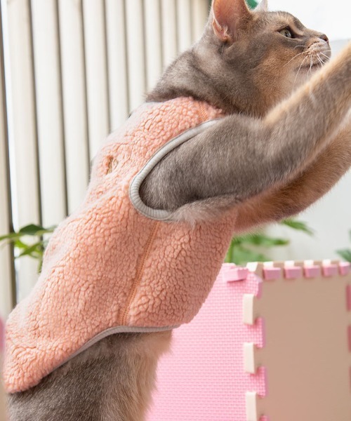 猫の暮らし（ネコノクラシ）の「猫の暮らし/ねこのくらし/バックホックボアベストキャット/猫用品（ペットウェア・メンズ・グレー/ピンク・S/M/L）」の6枚目の写真