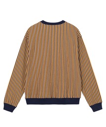 STUSSY Veal Dot Striped L/S スウェット　M STUSSY（ステューシー）の「Vertical Dot Striped Ls Crew（T