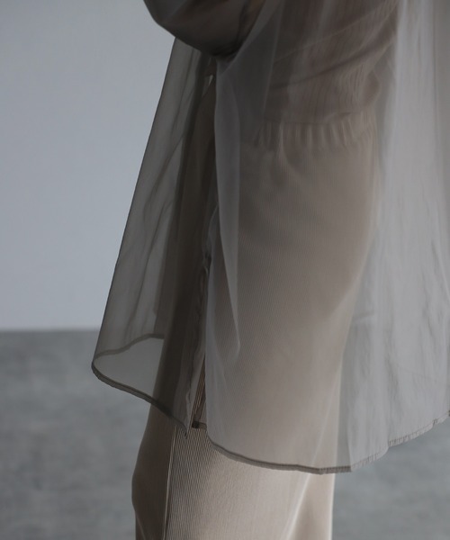 Bonjour Sagan（ボンジュールサガン）の「バックギャザーシアーシャツ（Tシャツ/カットソー・レディース・ライトグレー/ブラック/ライトベージュ・FREE）」の6枚目の写真