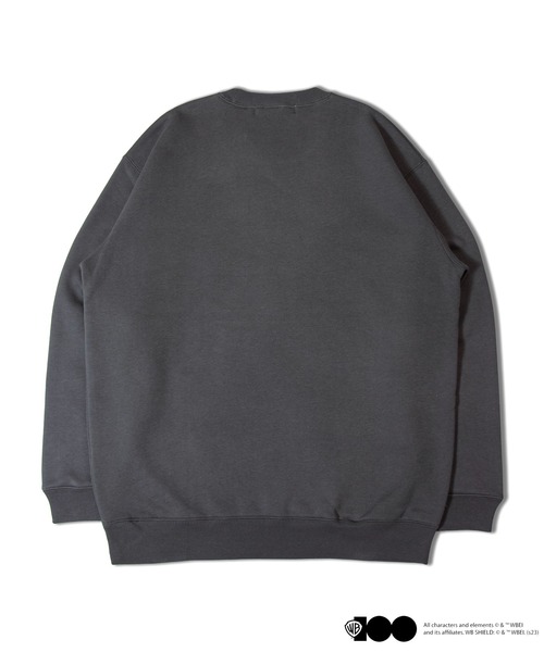 JACKROSE（ジャックローズ）の「JE-ワーナーブラザース スウェット（スウェット・メンズ・その他3/その他2/その他4/その他1・L/M）」の10枚目の写真