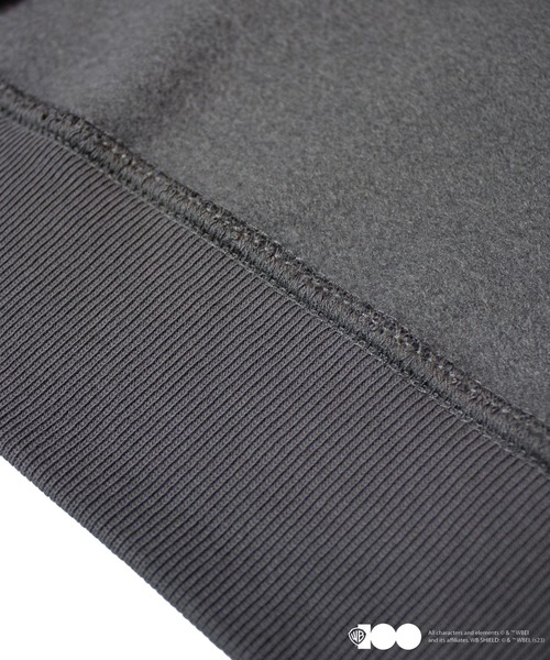 JACKROSE（ジャックローズ）の「JE-ワーナーブラザース スウェット（スウェット・メンズ・その他3/その他2/その他4/その他1・L/M）」の17枚目の写真