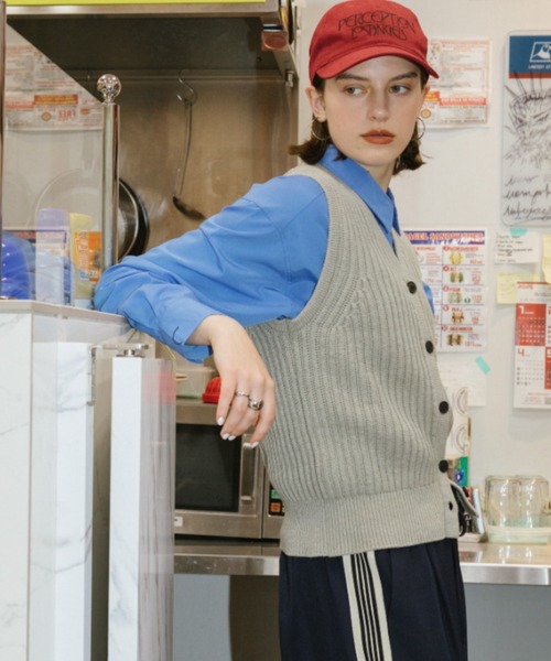 Auntie Rosa Holiday(アンティローザホリデー)の「刺繍Vニットベスト(ベスト・レディース・グレー/ブラック・FREE)」の19枚目の写真