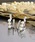 itam�i�A�C�^���j�́u�yitam�z�A�C�^��/ �v���[�����p�[�� �c�C���m���z�[���s�A�X�@/�����A�����M�[�Ή��C�������O�i�C�������O�j�v�b�V���o�[