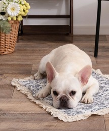 ONEKOSAMA OINUSAMA（オネコサマ）の「フリルクールマット　トワルドジュイ　[Mサイズ：アイスジェル6個]（ペット用クッション/マット・メンズ）」