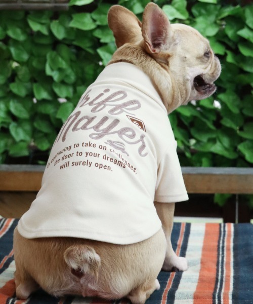 犬服・ストレッチ・着脱簡単】DOGもちのびT(ロゴ)（ペットウェア