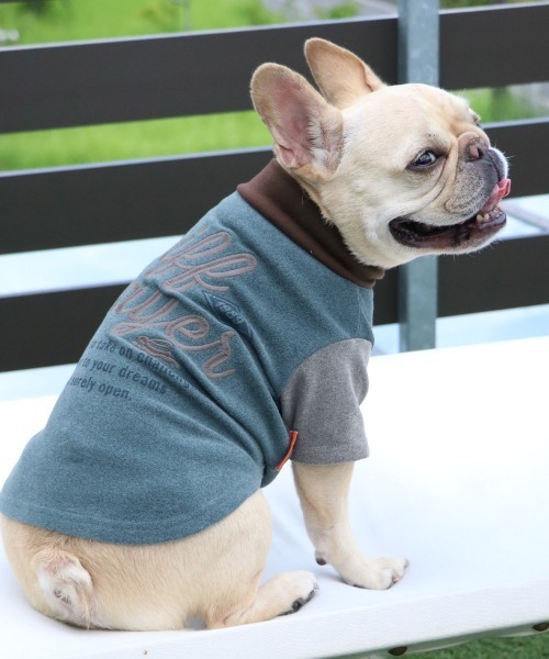 KRIFF MAYER（クリフメイヤー）の「【犬服･ストレッチ･着脱簡単】DOGもちのびT(ロゴ)（ペットウェア・レディース・ダークブラウン/レッド/グレー/カラフル/ブラック/ナチュラル/ダークブルー・SMALL/XX-LARGE/X-LARGE/LARGE/MEDIUM）」の5枚目の写真