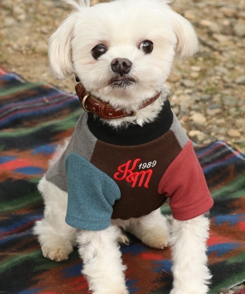 KRIFF MAYER（クリフメイヤー）の「【犬服･ストレッチ･着脱簡単】DOGもちのびT(ロゴ)（ペットウェア・レディース・ダークブラウン/レッド/グレー/カラフル/ブラック/ナチュラル/ダークブルー・SMALL/XX-LARGE/X-LARGE/LARGE/MEDIUM）」の7枚目の写真