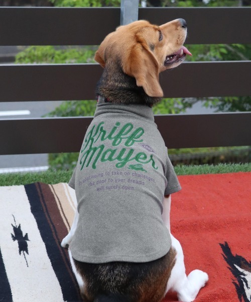 KRIFF MAYER（クリフメイヤー）の「【犬服･ストレッチ･着脱簡単】DOGもちのびT(ロゴ)（ペットウェア・レディース・ダークブラウン/レッド/グレー/カラフル/ブラック/ナチュラル/ダークブルー・SMALL/XX-LARGE/X-LARGE/LARGE/MEDIUM）」の14枚目の写真