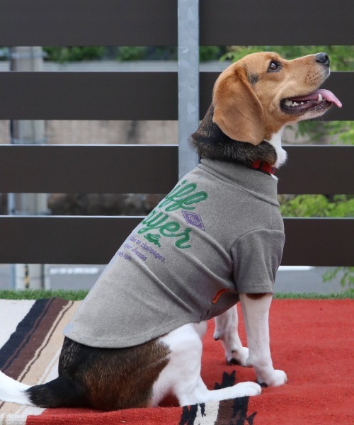 KRIFF MAYER（クリフメイヤー）の「【犬服･ストレッチ･着脱簡単】DOGもちのびT(ロゴ)（ペットウェア・レディース・ダークブラウン/レッド/グレー/カラフル/ブラック/ナチュラル/ダークブルー・SMALL/XX-LARGE/X-LARGE/LARGE/MEDIUM）」の15枚目の写真