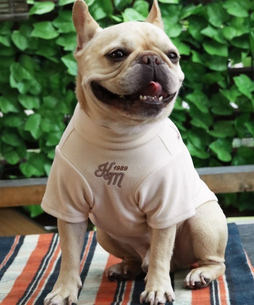 KRIFF MAYER（クリフメイヤー）の「【犬服･ストレッチ･着脱簡単】DOGもちのびT(ロゴ)（ペットウェア・レディース・ダークブラウン/レッド/グレー/カラフル/ブラック/ナチュラル/ダークブルー・SMALL/XX-LARGE/X-LARGE/LARGE/MEDIUM）」の16枚目の写真